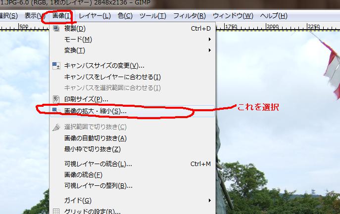 拡大縮小メニュー